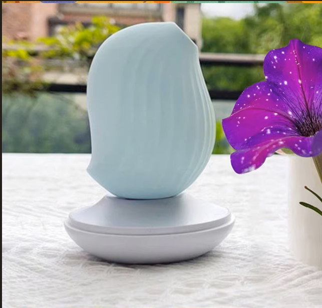 Da Ren Tang Little Dolphin Toy Charger